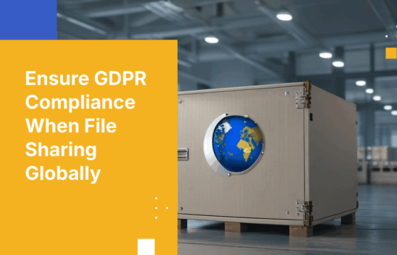 How to Share Files with International Partners Without Violating GDPR