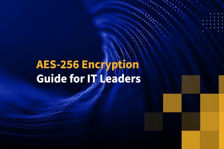 AES-256 Encryption Guide for IT Leaders