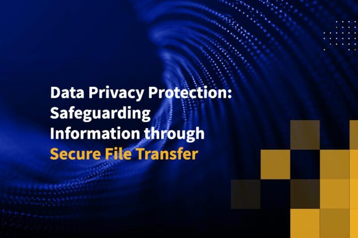 Data Privacy Protection: Safeguarding Information through Secure File Transfer