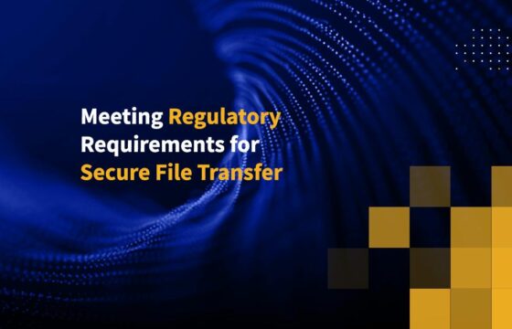 Meeting Regulatory Requirements for Secure File Transfer