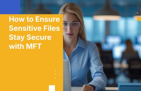 How to Ensure Sensitive Files Stay Secure with MFT