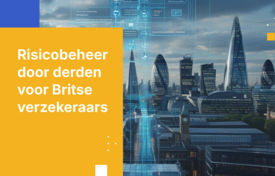 Risicobeheer door derden voor Britse verzekeraars: Bestuur, controles en auditgereedheid