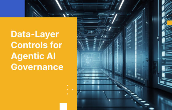 Data-Layer Controls for Agentic AI Governance