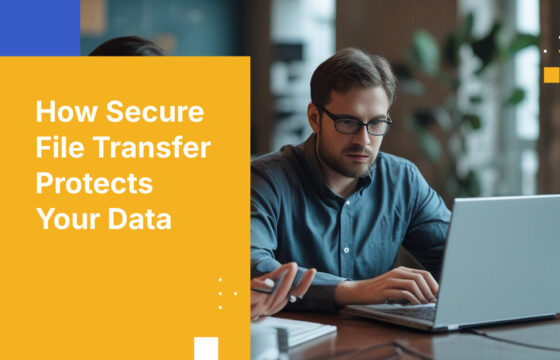 How Secure File Transfer Protects Your Data