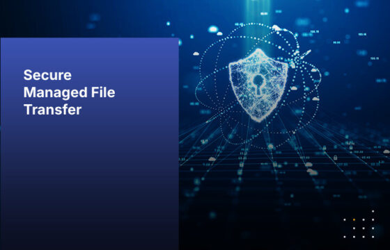 Secure MFT Test Page