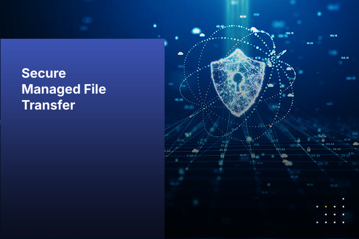 Secure MFT Test Page
