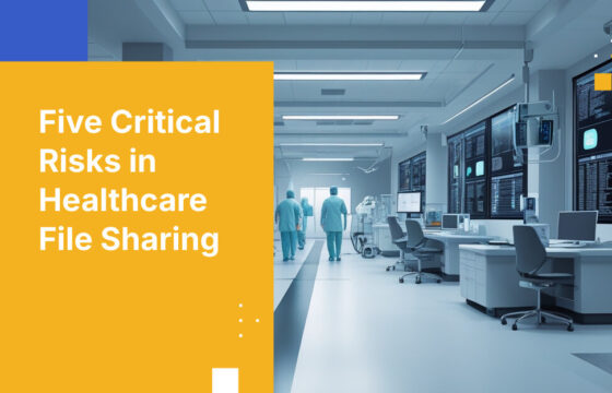 Five Critical Risks in Healthcare File Sharing