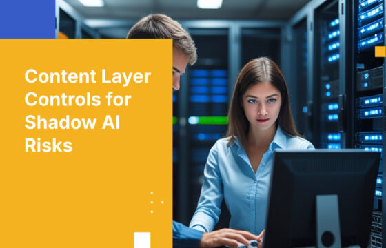 Content Layer Controls for Shadow AI Risks