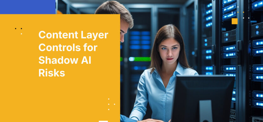 Content Layer Controls for Shadow AI Risks