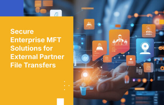 Secure Enterprise MFT Solutions for External Partner File Transfers