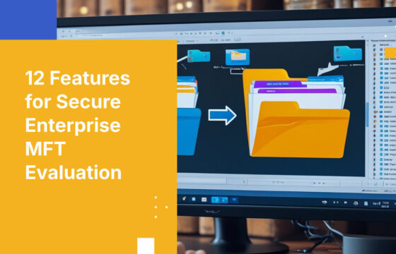 12 Features for Secure Enterprise MFT Evaluation