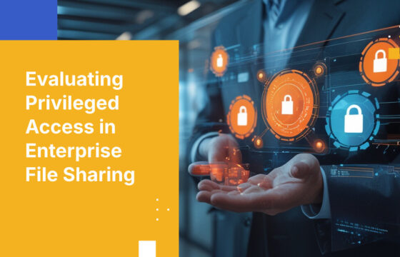 Evaluating Privileged Access in Enterprise File Sharing