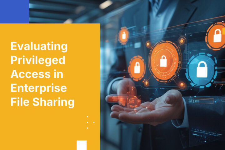 Evaluating Privileged Access in Enterprise File Sharing