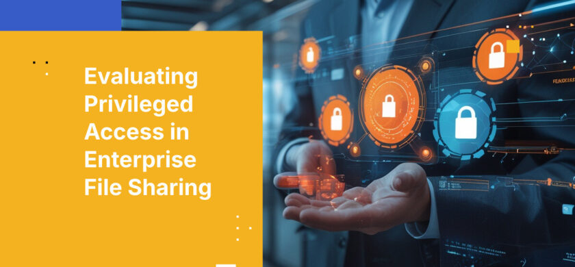 Evaluating Privileged Access in Enterprise File Sharing