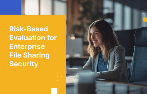 Risk-Based Evaluation for Enterprise File Sharing Security