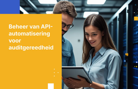 Geautomatiseerd Betekent Niet Ongeregeld: API-gedreven Workflows Auditklaar Houden