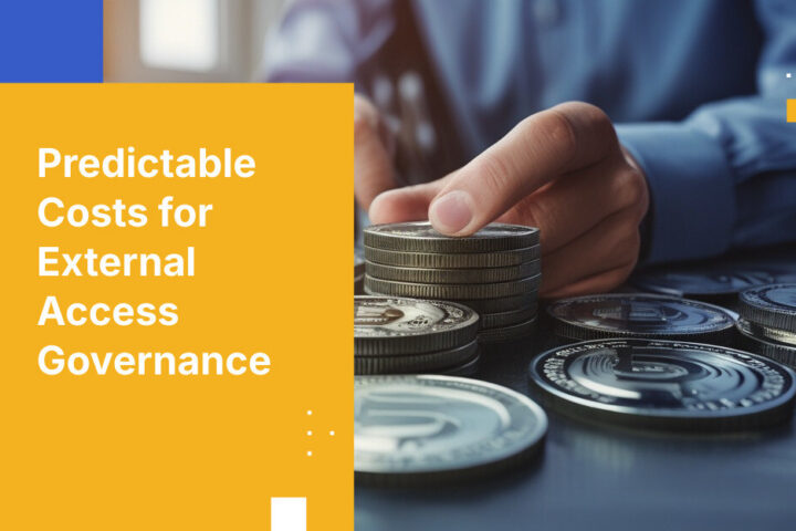 Predictable Costs for External Access Governance